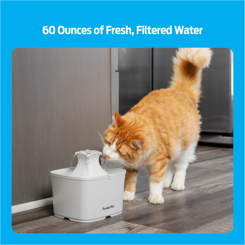 Premier Pet 60 Oz Pet Fountain & Reviews Wayfair